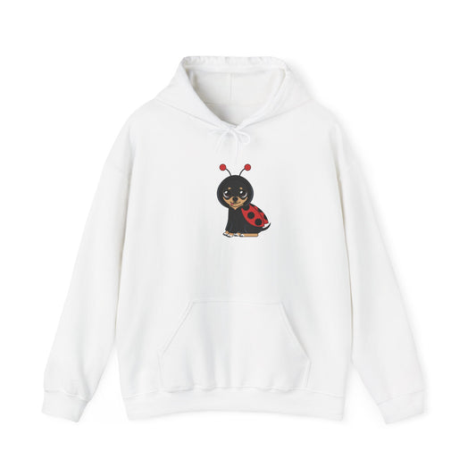 🐞 Maya Ladybug Hoodie – Sweet and Stylish for Spring Days