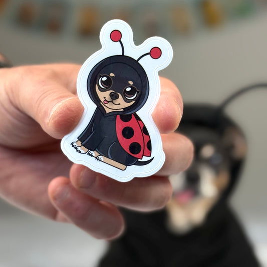 Closeup of Chihuahua Maya<s Ladybug Costume Sticker.