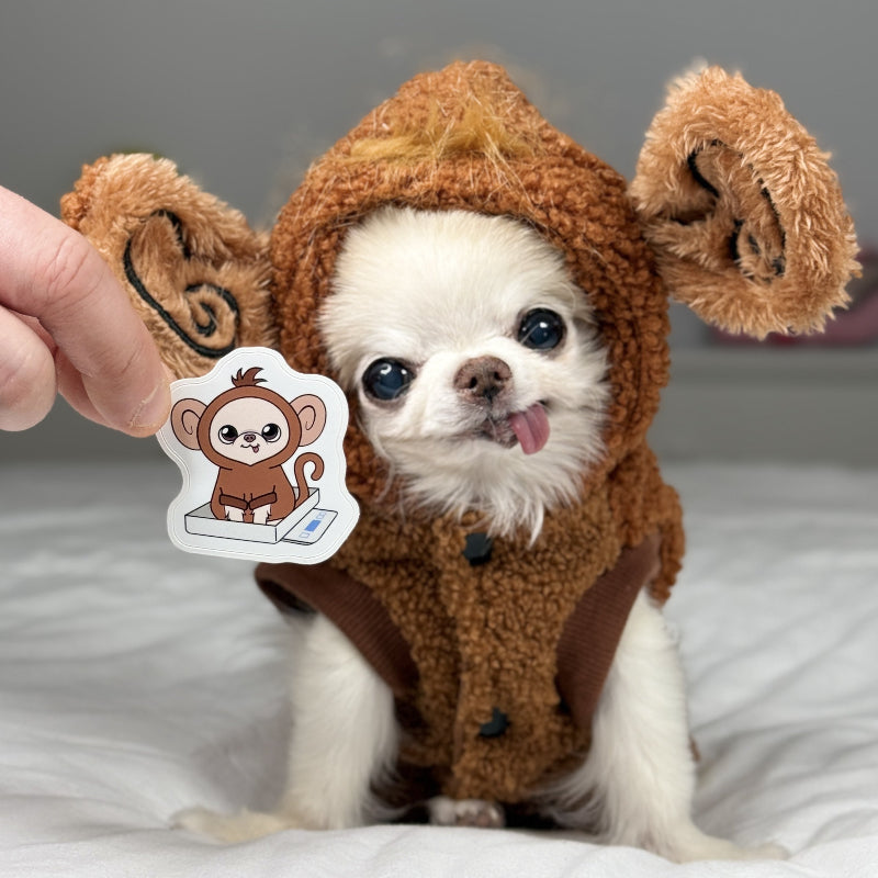 Small dog in a brown costume with large ears, sitting on a bed.
