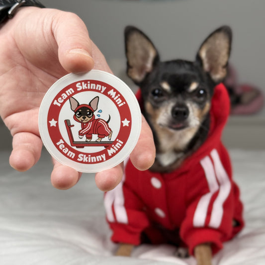 Dog wearing a red outfit with a 'Team Skinny Mini' sticker held by a person.
