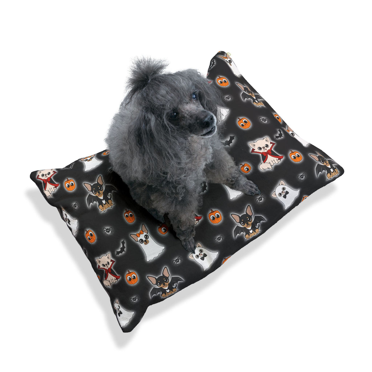 Small dog resting on a black Halloween Chis pet bed with repeating Chihuahua characters.