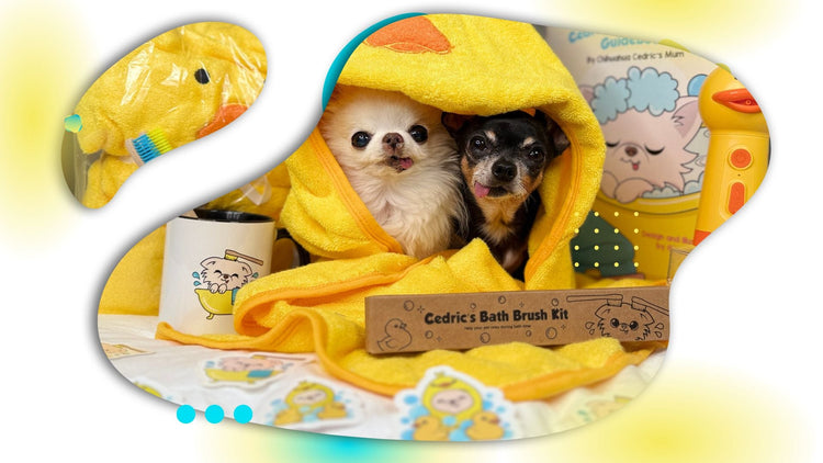 Chihuahua Bath Week 25% OFF