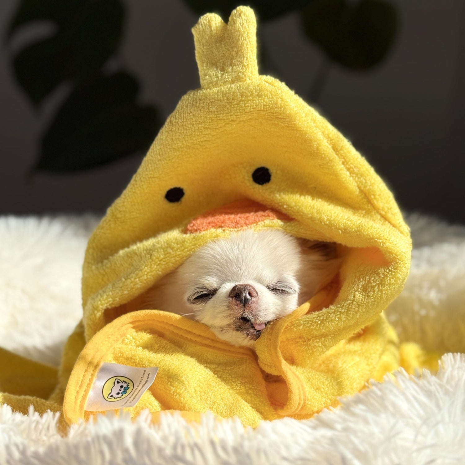 Ducky hooded towel collection image for drying dogs after snowy boot walks