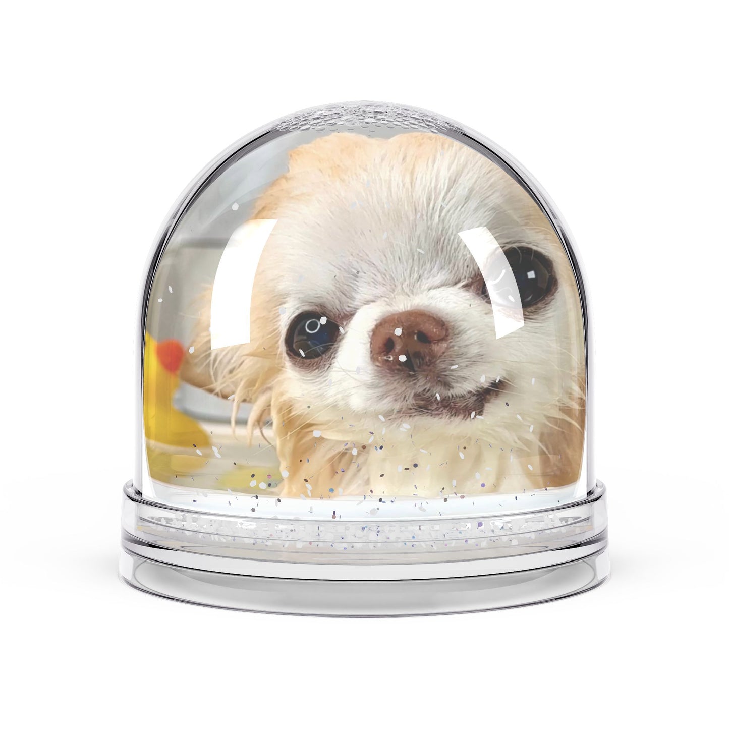 Chihuahua Bath Week Snow Globe