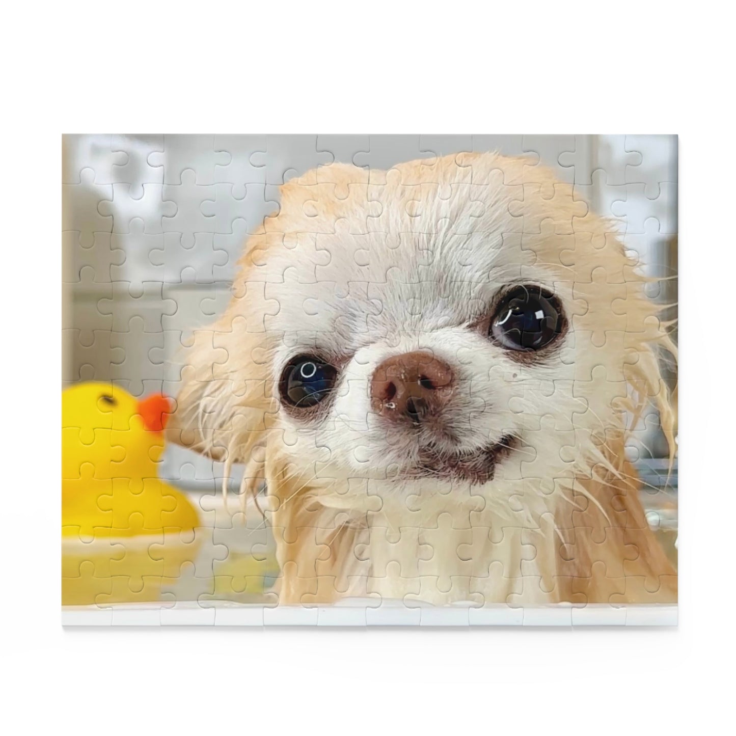 Cedric's Chihuahua Bath Week Puzzle