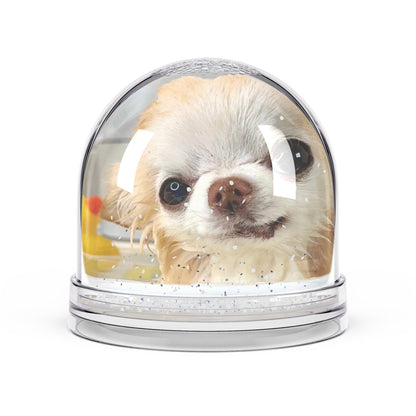 Chihuahua Bath Week Snow Globe