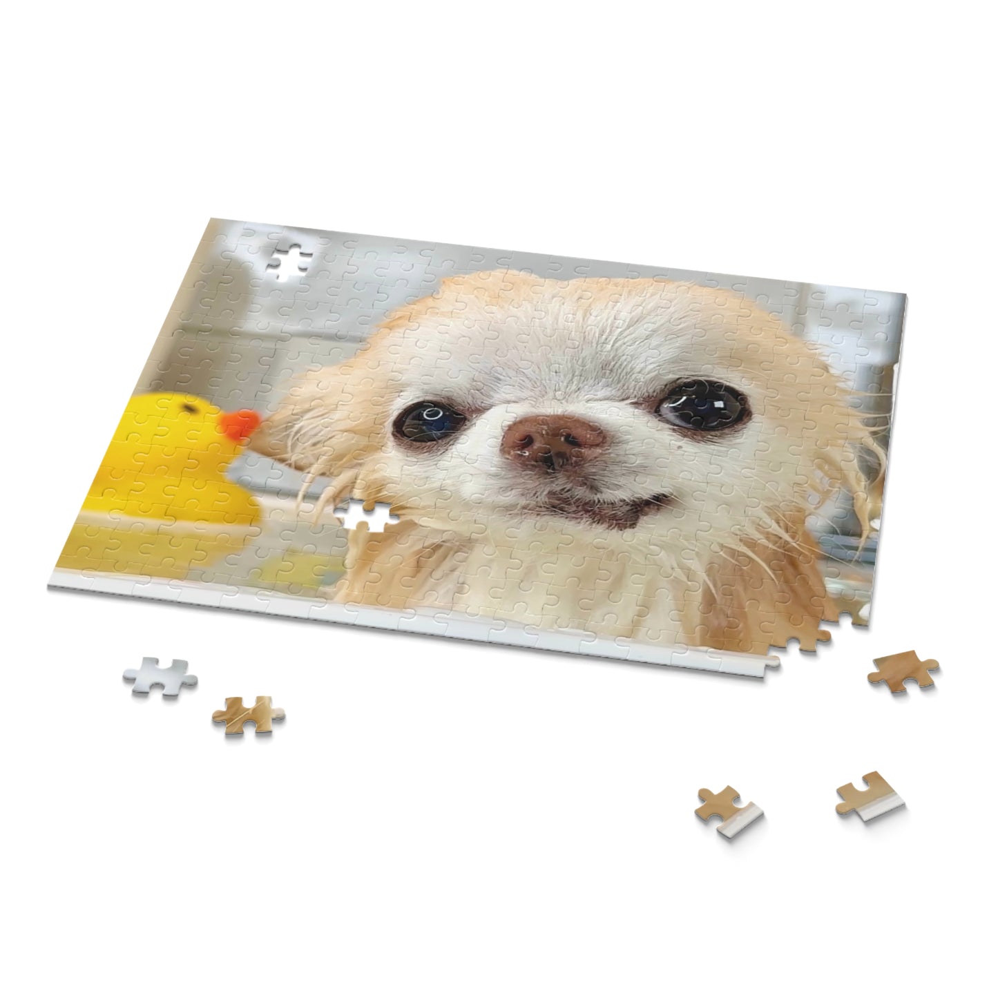 Cedric's Chihuahua Bath Week Puzzle