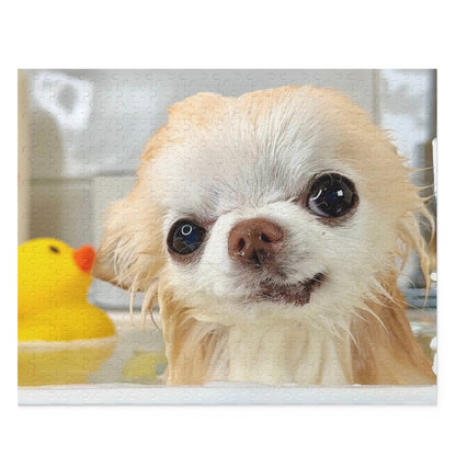 Cedric's Chihuahua Bath Week Puzzle