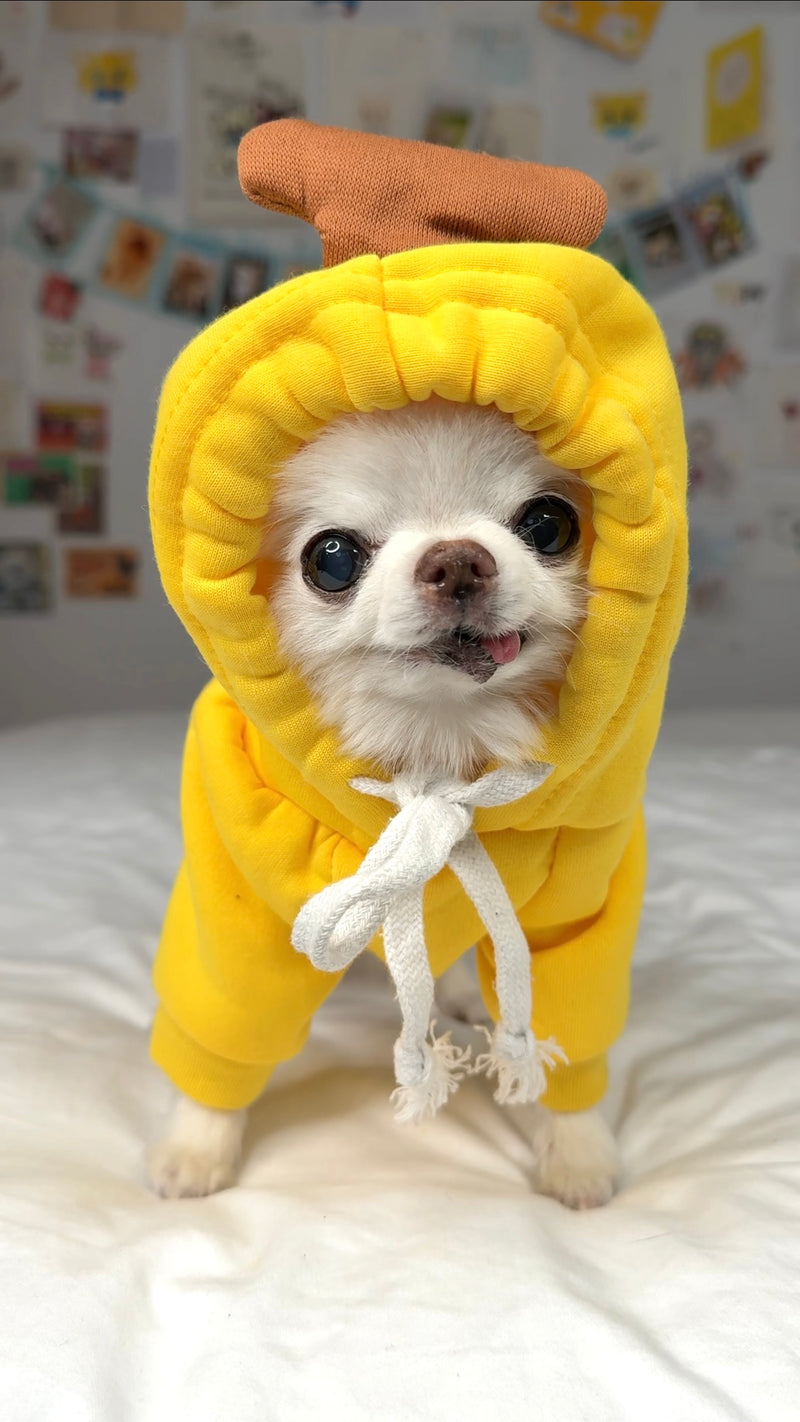 Banana costume