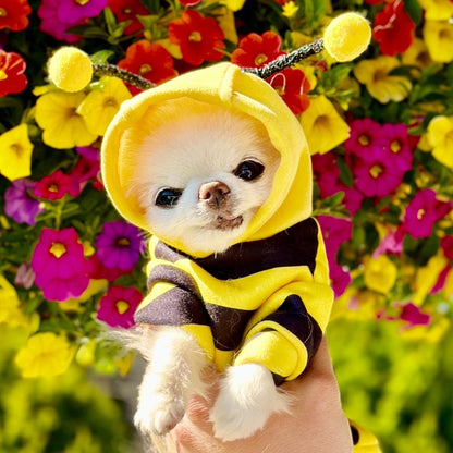 Beedric's Bee Costume