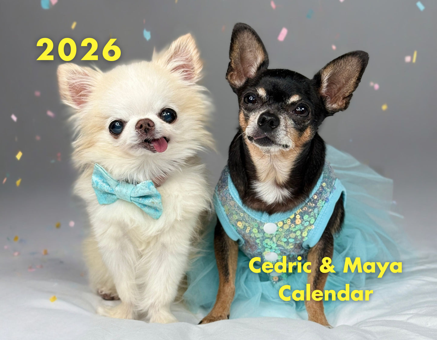 Calendar - Tiny Chihuahua Cedric & Maya 2026