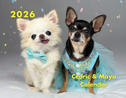 Calendar - Tiny Chihuahua Cedric & Maya 2026