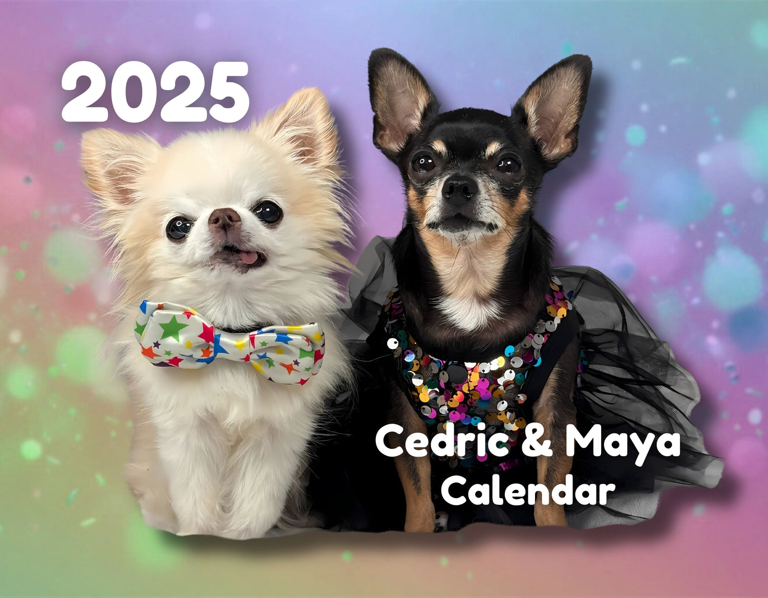 Cover image of Chihuahua Cedric and Maya Calendar 2025