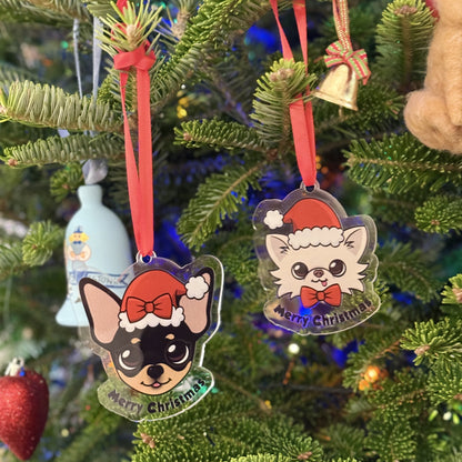 Cedric & Maya Holiday Acrylic Ornament Collection