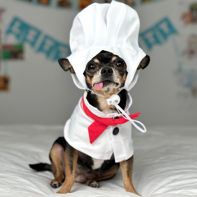 Chef costume