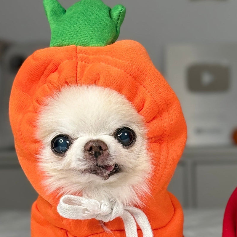 Carrot costume