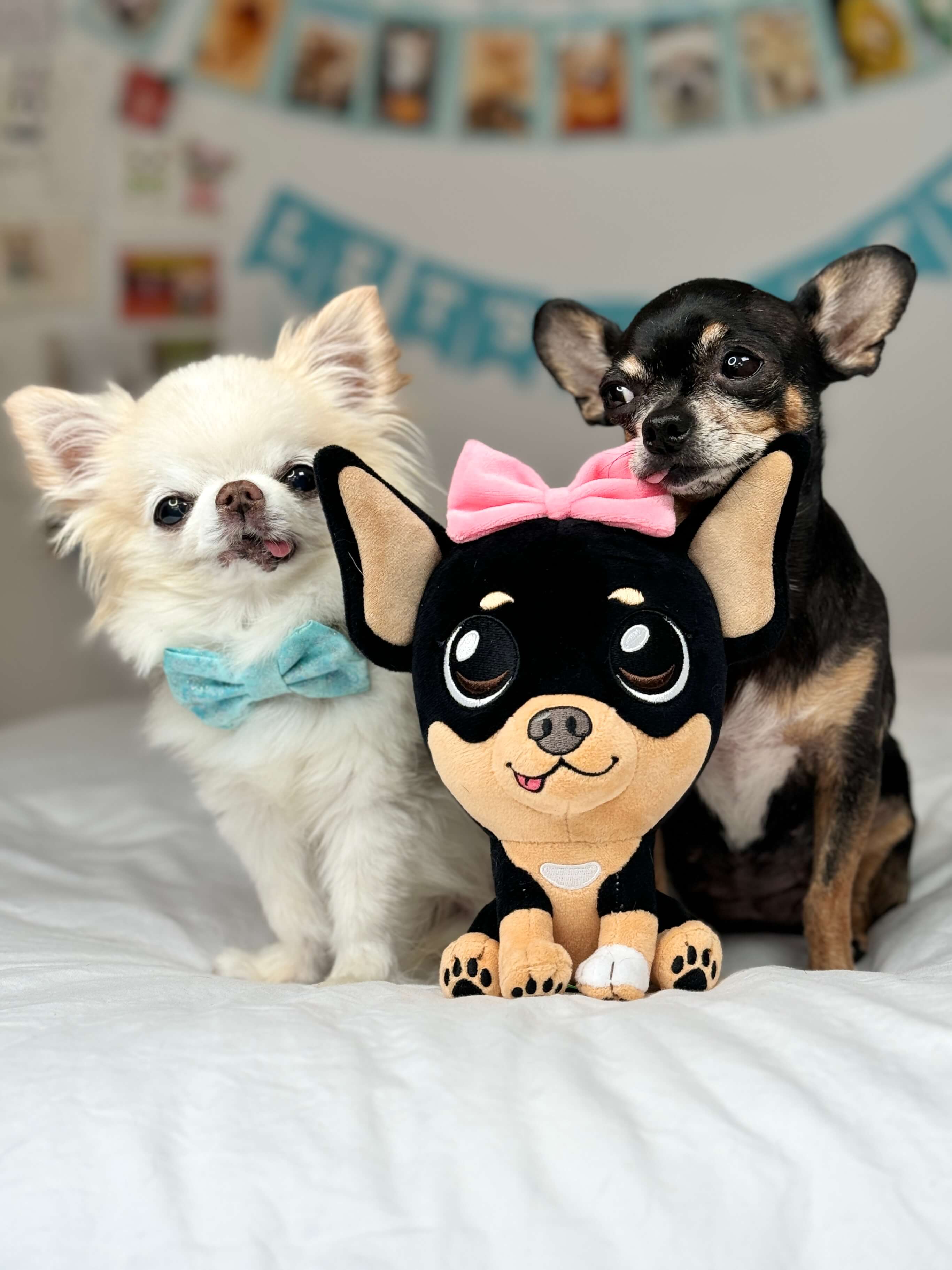 Chihuahua Cedric and Maya with Maya's First Plushie