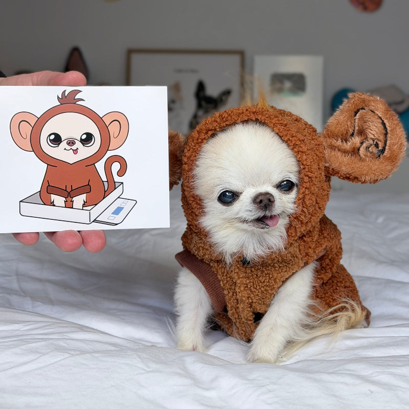 A small white dog wearing a brown plush monkey costume sits on a white bed, while a hand holds up a printed card showing a cartoon illustration of a monkey sitting on a box.