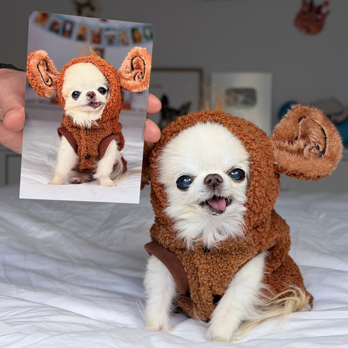 A small white Chihuahua wearing a brown plush animal costume sits on a white bed, while a human hand holds up a printed reference photo of the dog in the costume behind it.