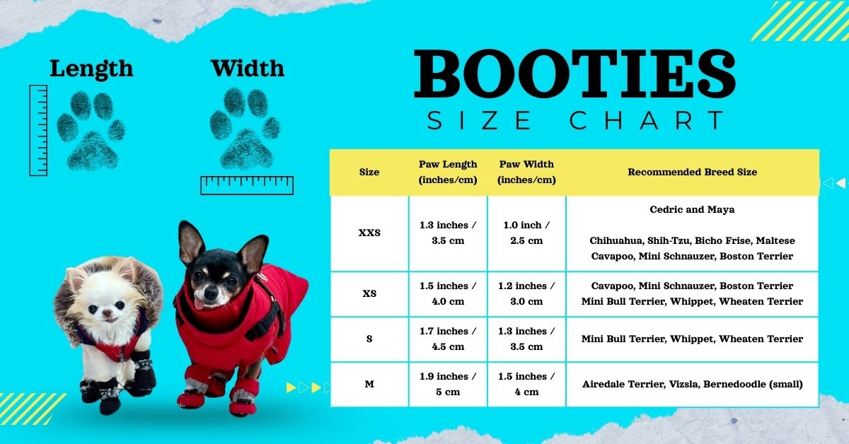 Chihuahua Boots Size chart guidelines for Maya Small Dog Winter Boots fit check