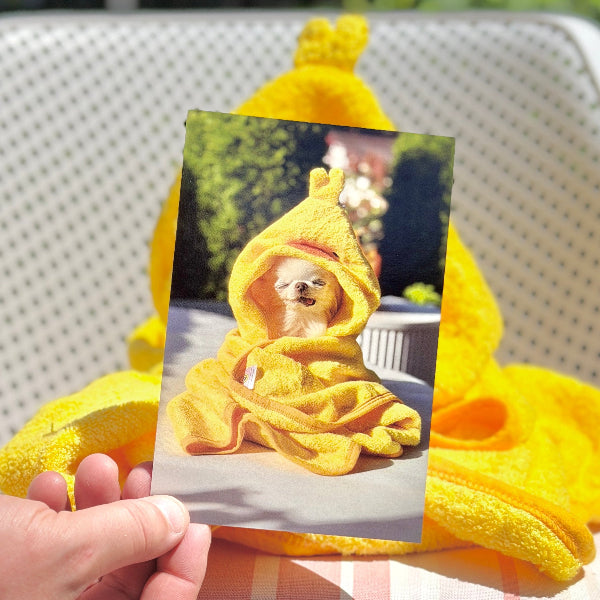 A hand holds a printed photo of a small dog wrapped in a yellow towel, with a matching yellow towel draped over a white patio chair in the background.