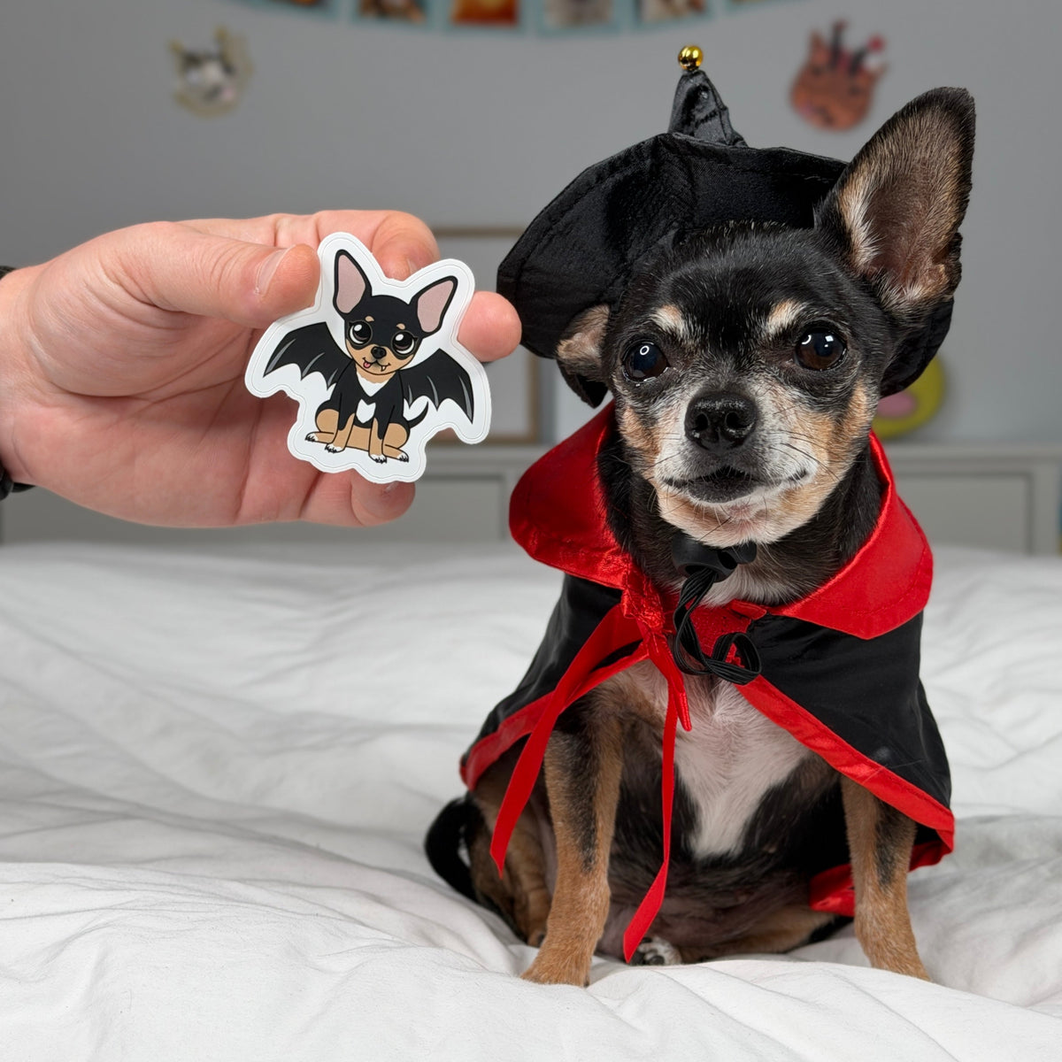 Vampire Maya sticker held beside Maya the Chihuahua.