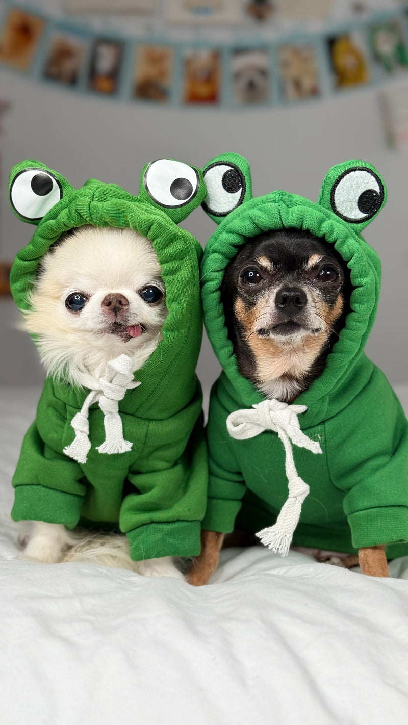 Frog costume