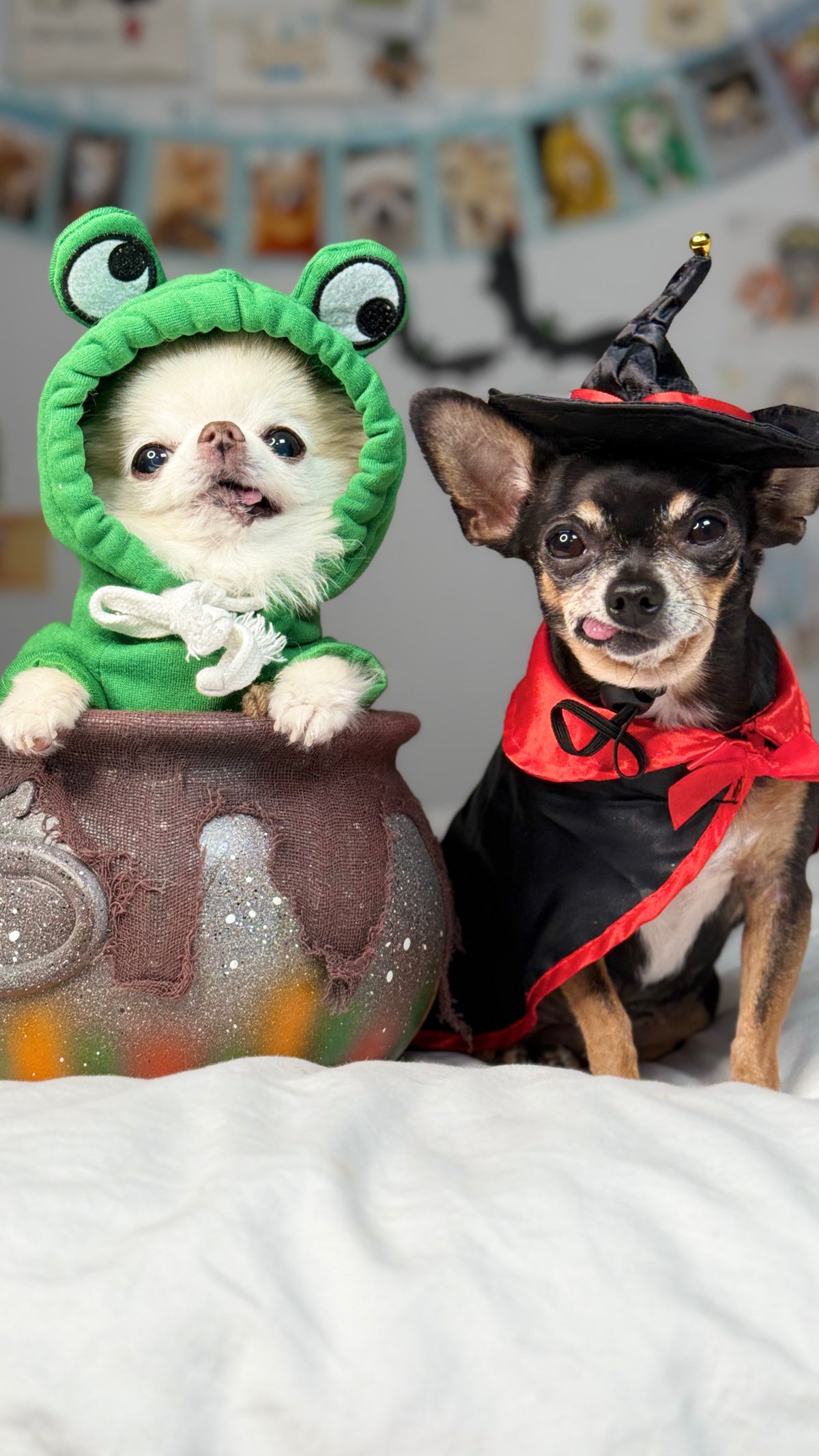 Cedric and Maya in Halloween costumes