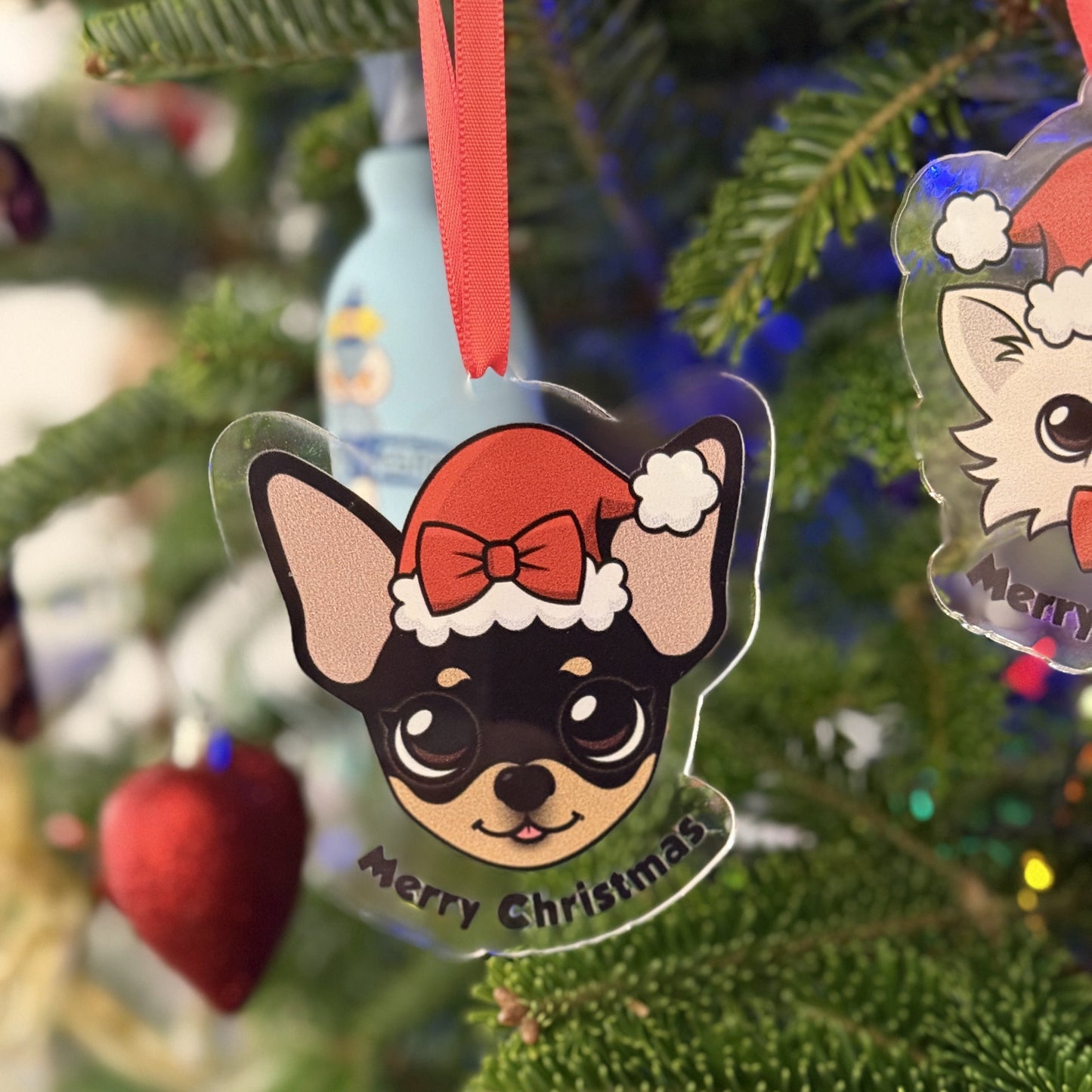 Cedric & Maya Holiday Acrylic Ornament Collection