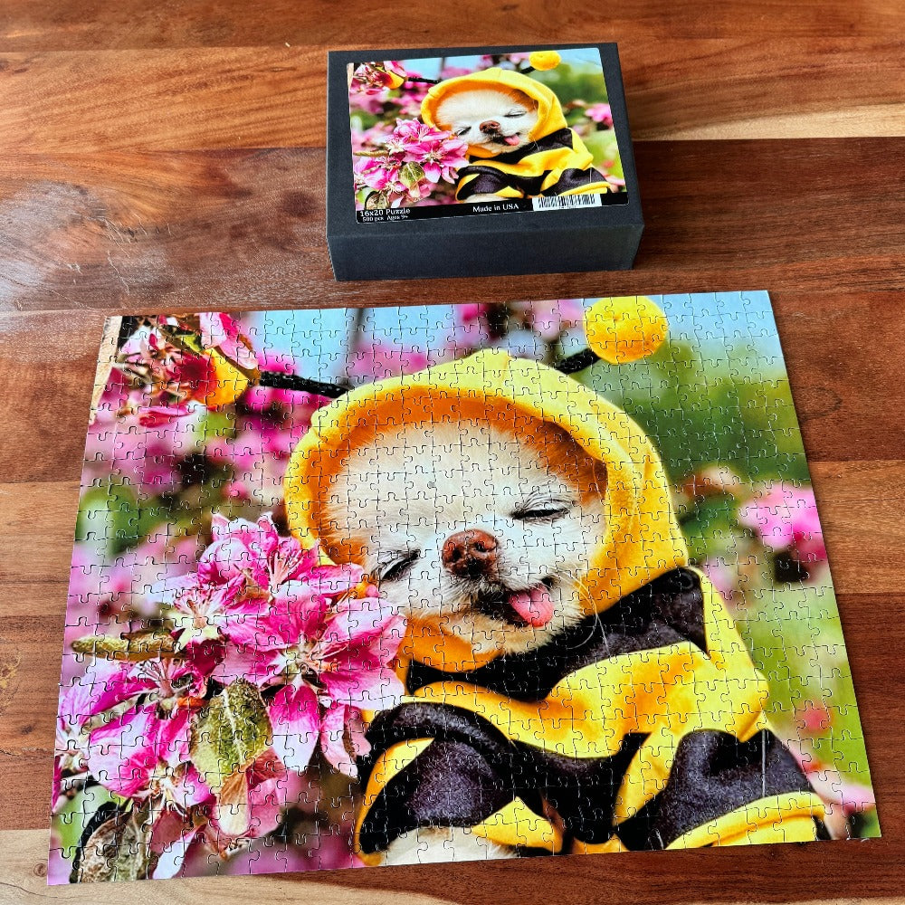 Games & Puzzles