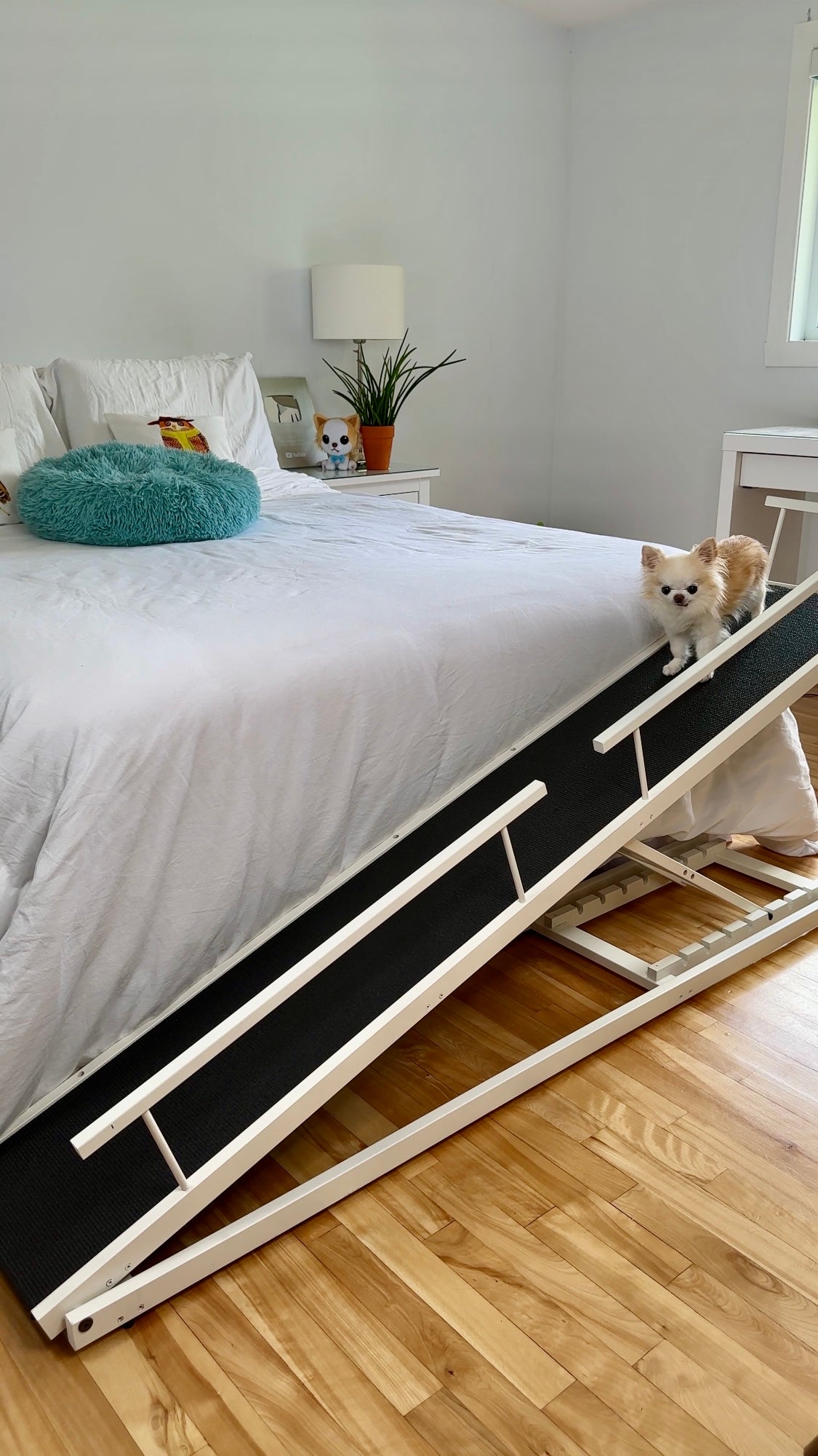 DoggoRamps - Cedric's Favorite Small Dog Ramp