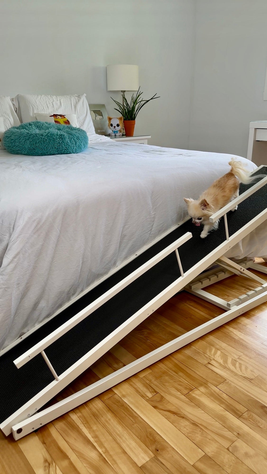 Small dog using DoggoRamps safely