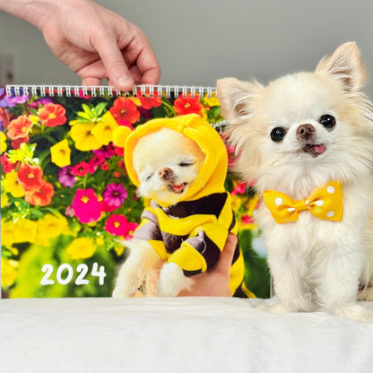 Tiny Chihuahua Cedric's Calendar 2024