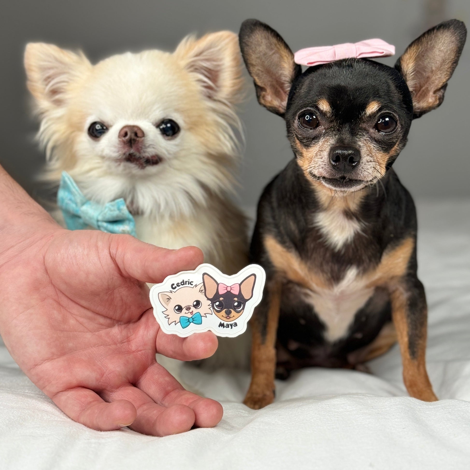 Cedric and Maya's Siblings Sticker - Tiny Chihuahua Shop