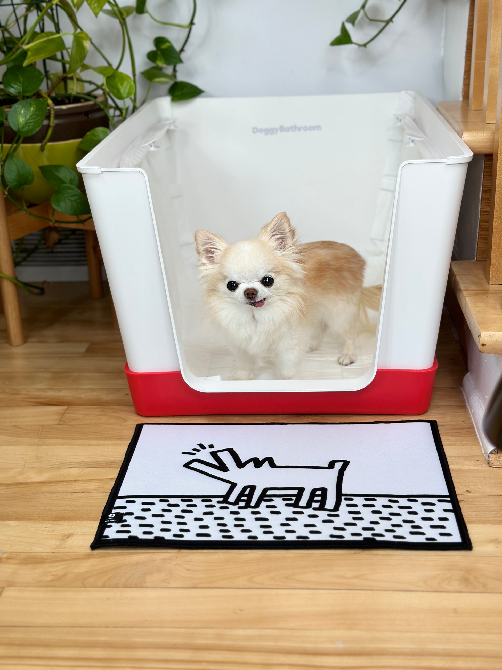 The Doggy Bathroom - Tiny Chihuahua Shop