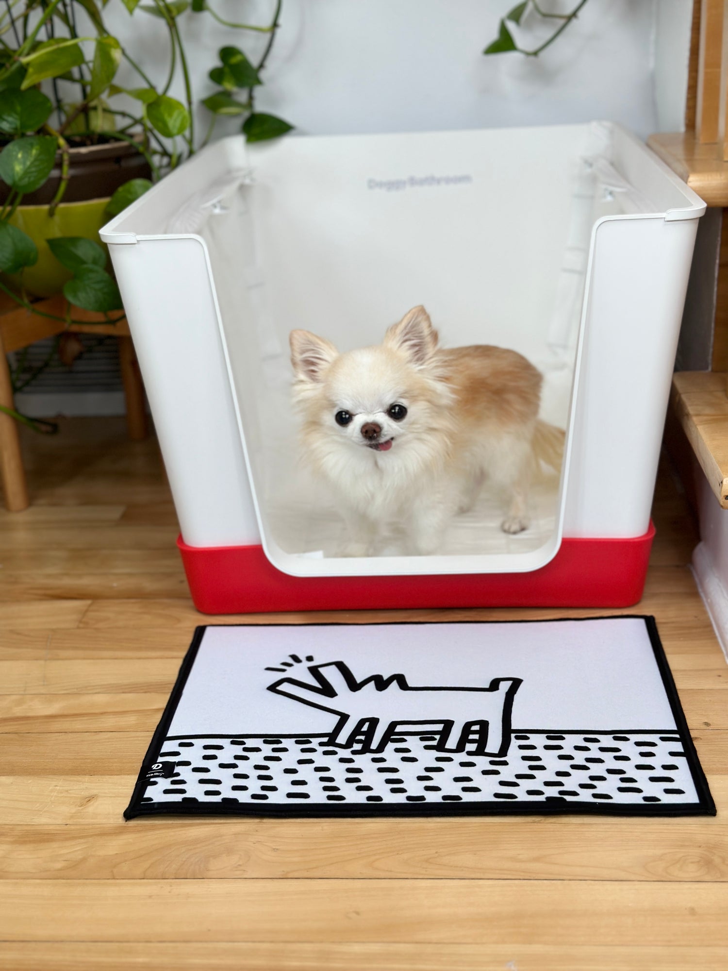 The Doggy Bathroom - Tiny Chihuahua Shop