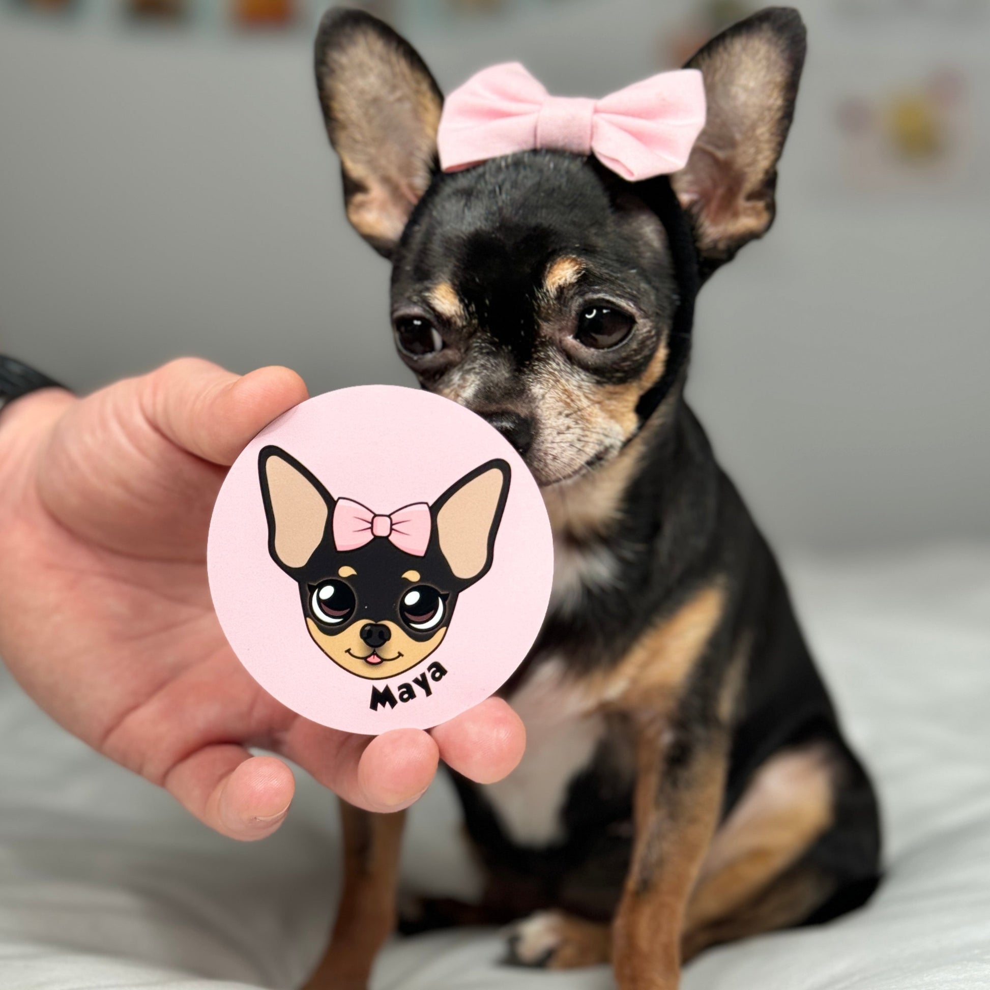 Tiny Chihuahua Maya's Round Magnet - Tiny Chihuahua Shop