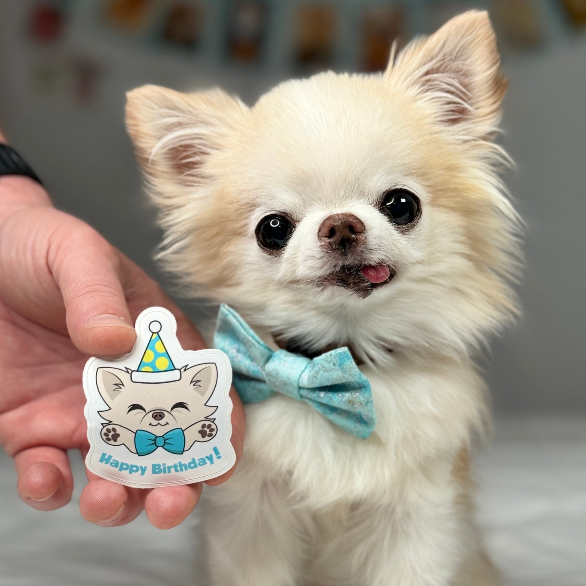 Cedric's Happy Birthday Sticker - Tiny Chihuahua Shop