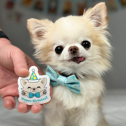 Cedric's Happy Birthday Sticker - Tiny Chihuahua Shop