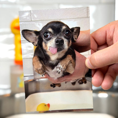 A hand holds a printed photo card showing a small black-and-tan dog in a bathtub, with a real bathroom background blurred behind it.