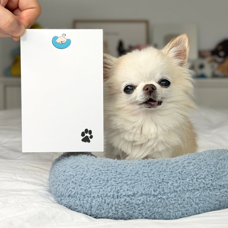 A small fluffy white dog sits on a bed next to a blue pet bed, while a hand holds up a white card with a blue paw-shaped sticker and a black paw print.