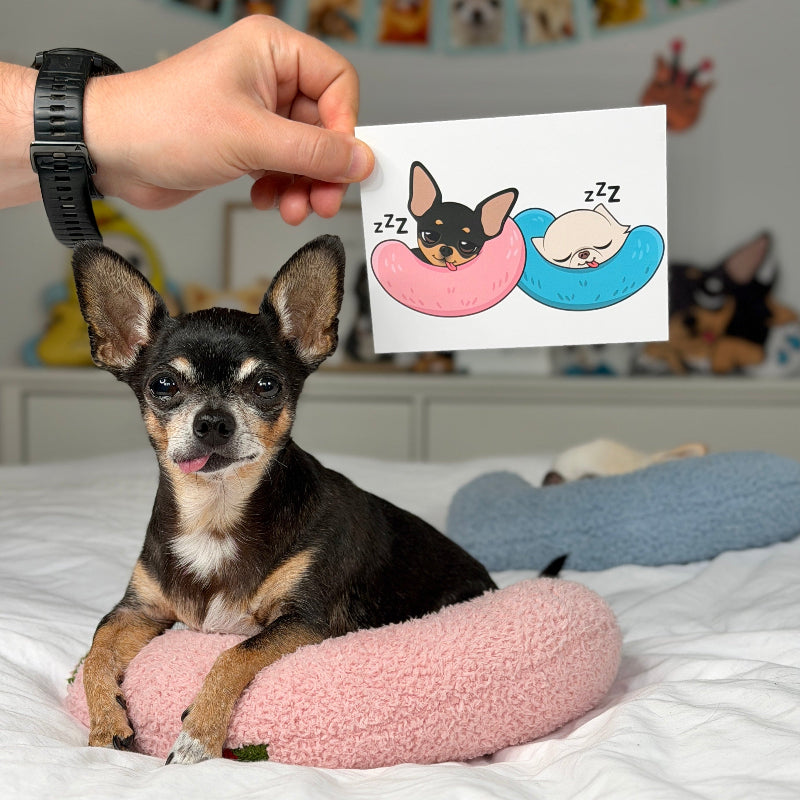A small black and tan Chihuahua dog sits on a white bed, resting on a pink plush cushion. A human hand holds up a small printed card above the dog, showing a cartoon illustration of a sleeping dog in pink and blue neck cradles.