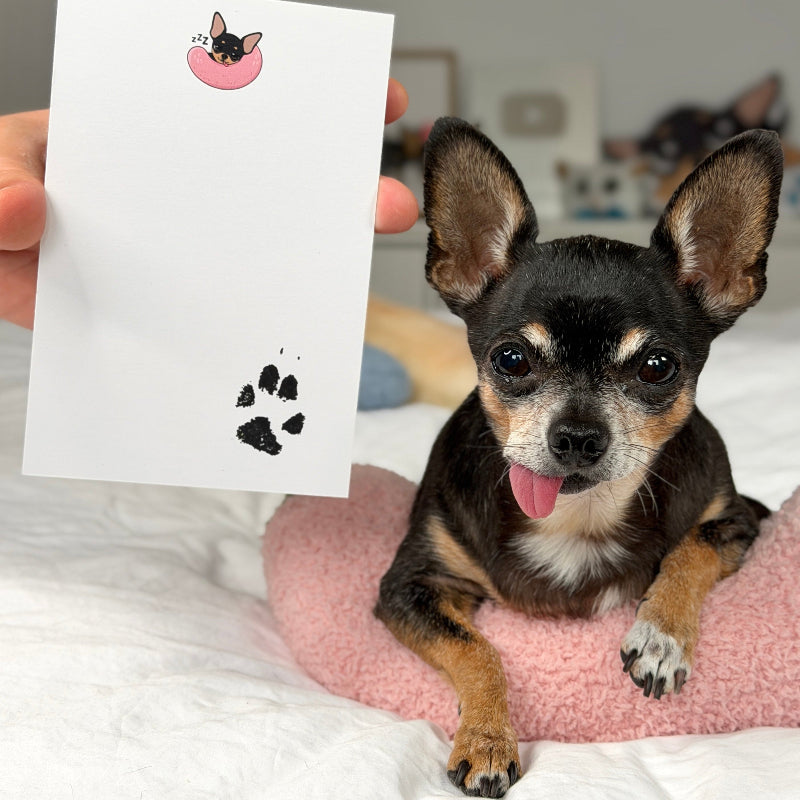 A small black and tan Chihuahua dog sits on a pink cushion on a white bed, looking at a white card held by a hand. The card has a small black cat in a pink ring near the top and a black paw print near the bottom.