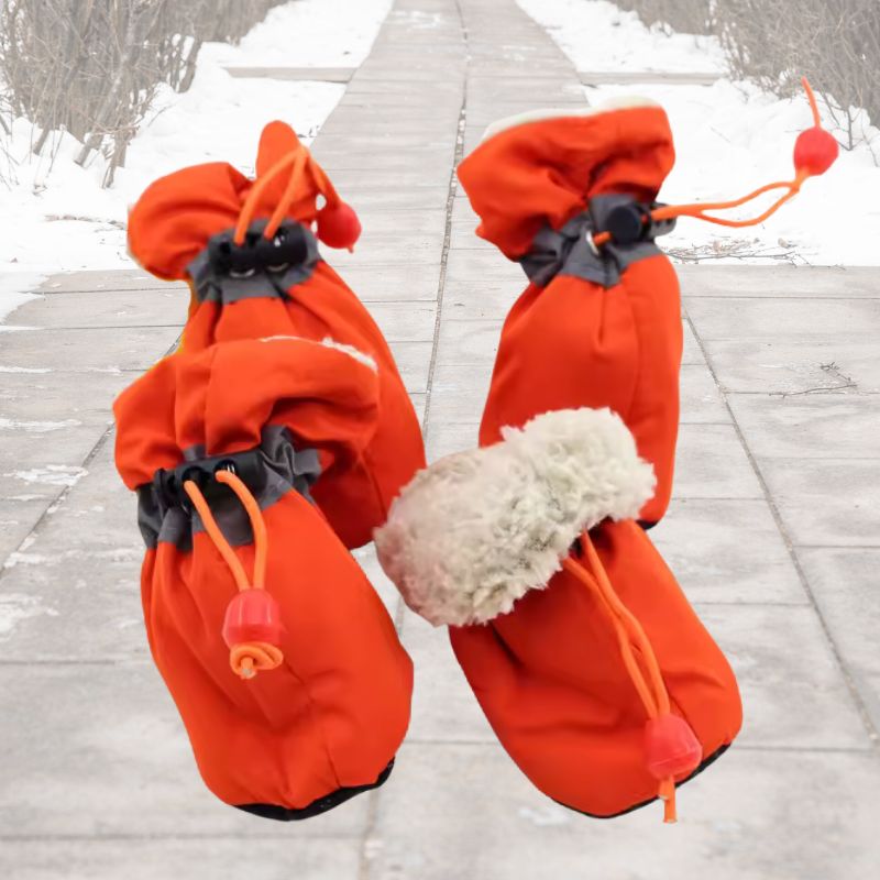 Maya Small Dog Winter Boots (Set of 4)