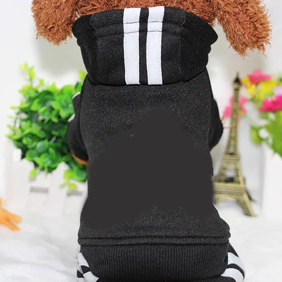 Maya’s Fitness Tracksuit for Tiny Dogs – Winter Cotton Warmth (XS-XXL)