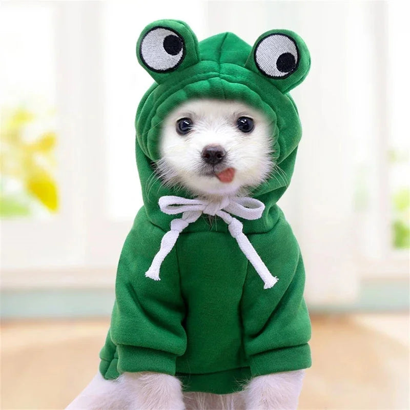 Chihuahua Frog Costume – Funny Small Dog Outfit with Googly-Eyes Hood (XS–XXL)