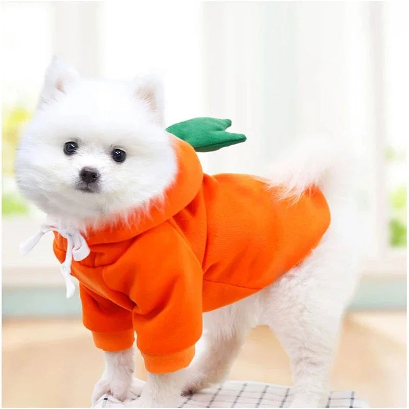 🥕 Carrot Dog Costume (XS–XXL)