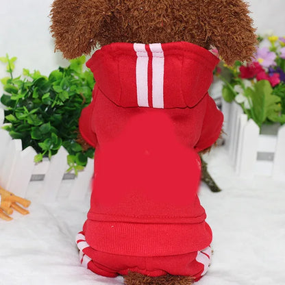 Maya’s Fitness Tracksuit for Tiny Dogs – Winter Cotton Warmth (XS-XXL)