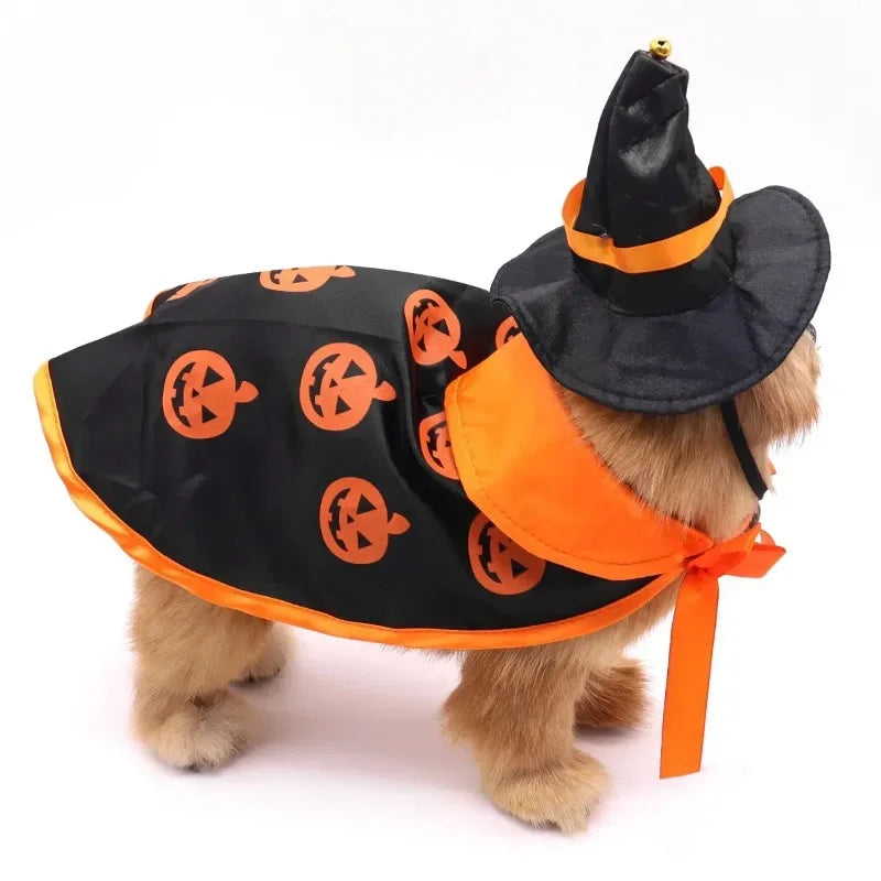 Tiny Witch Halloween Costume for Small Dogs & Cats