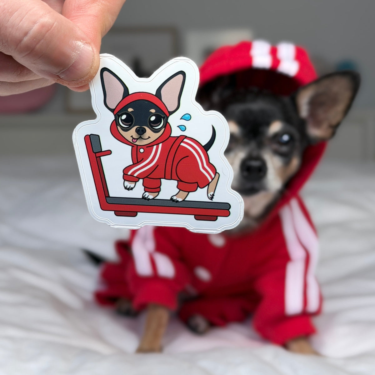 A hand holds a die-cut sticker featuring a cartoon chihuahua running on a treadmill in a red tracksuit, with a real chihuahua wearing a matching red tracksuit in the blurred background on a white bed.